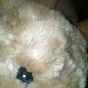 Meet your Posher, Tonja